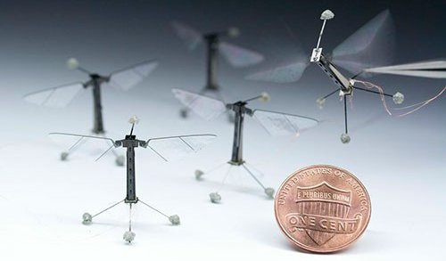 robot-insecte-volant-mouche-drone-miniat